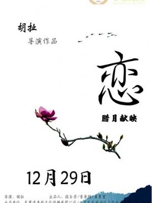 山脊线上的风 短剧封面